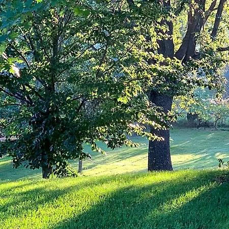 Bio & B - Italyke Bed & Breakfast Viterbo